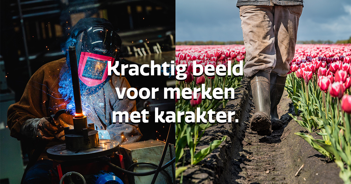 Minke Kroeze Fotografie | Bedrijfsfotografie Emmen, Drenthe ... foto 1